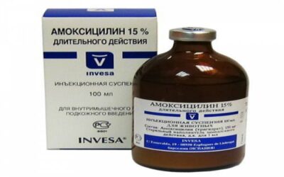 Амоксициллин 15%-ветеринарный препарат